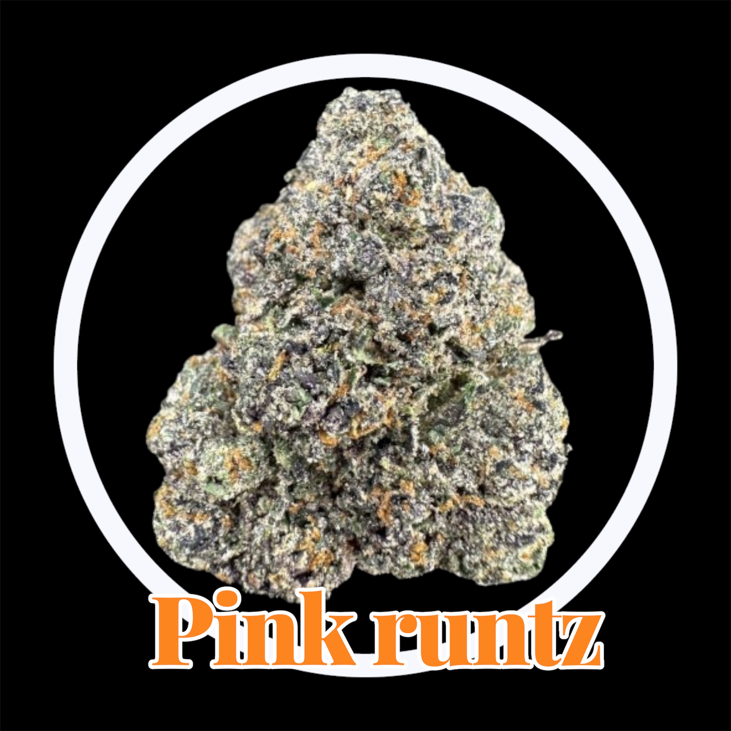 29-11-25 10-54-17pm.jpg